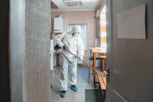Best Forensic Mold Investigation  in Tobaccoville, NC