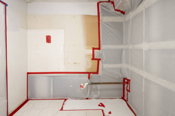 Best Asbestos and Lead Testing During Mold Inspection  in Tobaccoville, NC