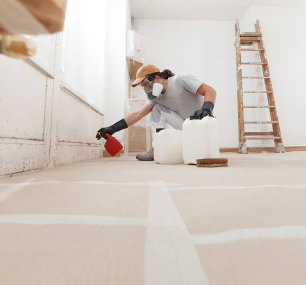 Tobaccoville, NC Mold Removal Company
